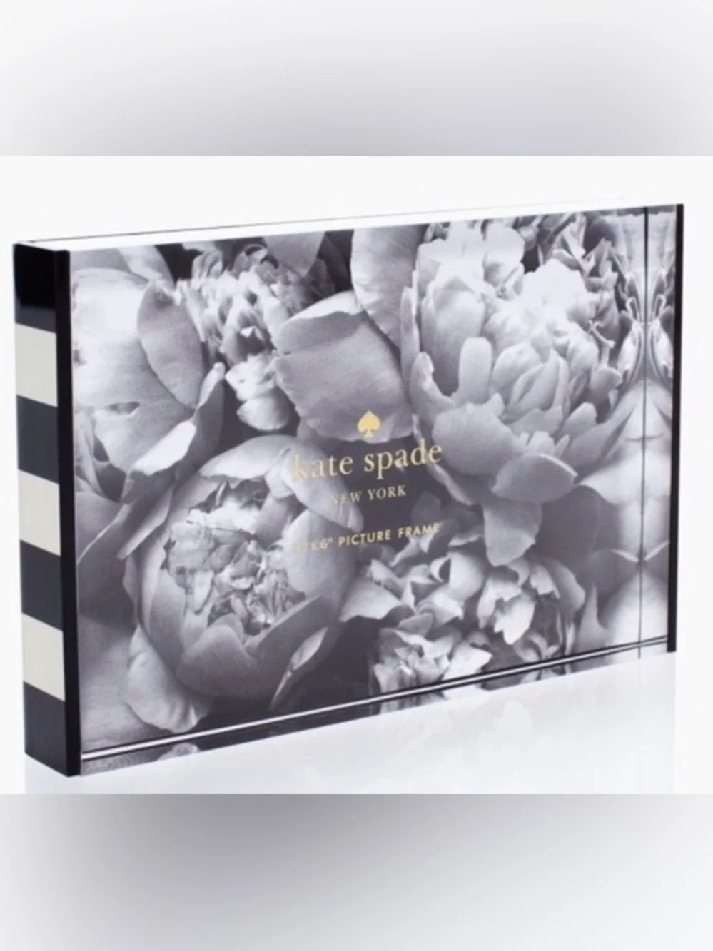 kate spade New York Frame 4x6 Acrylic Picture Frame **NIB**